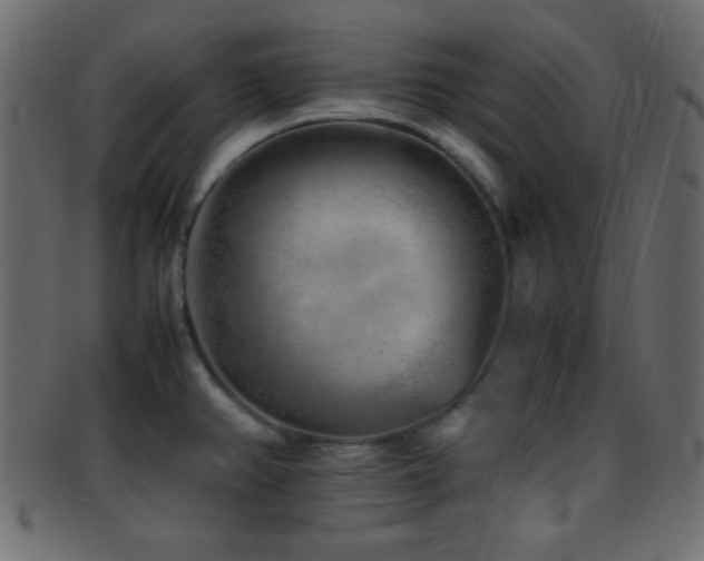 X0000095691382200801081239