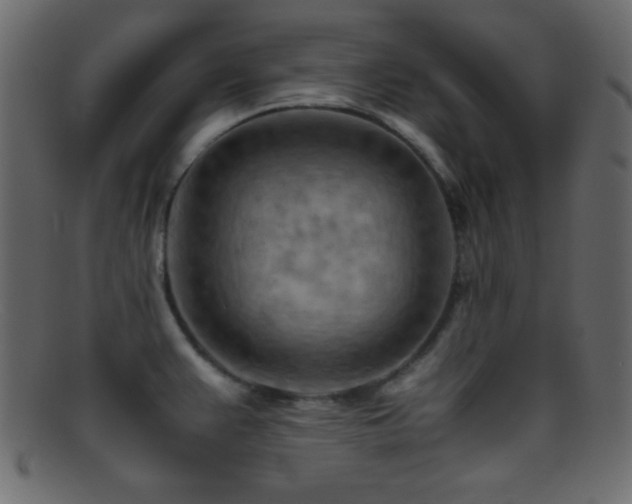 X0000095691383200801081239