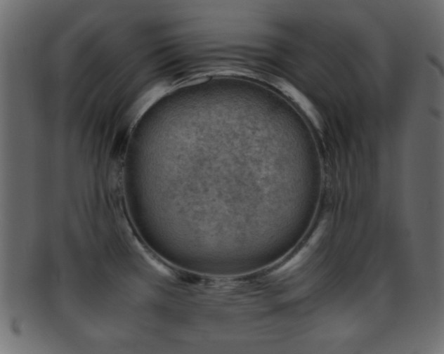 X0000095691385200801081239