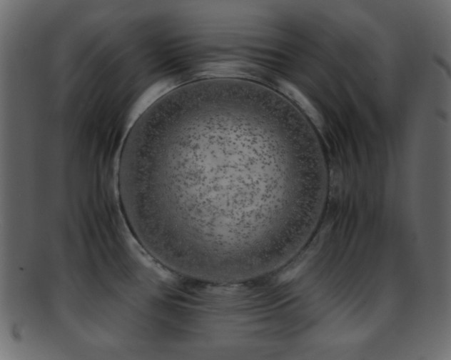 X0000095691386200801081239
