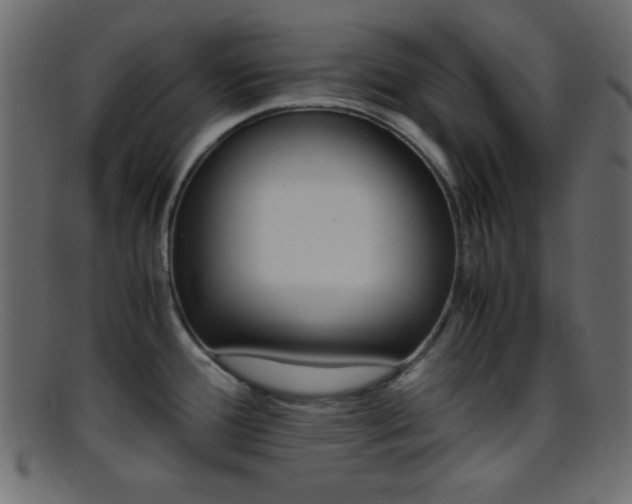 X0000095691388200801081238
