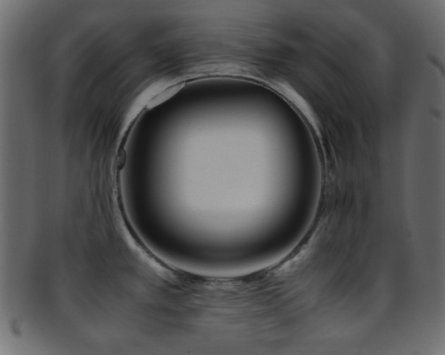 X0000095691389200801081238