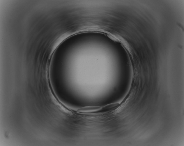 X0000095691390200801081238