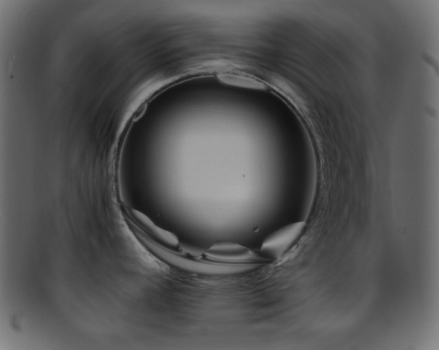 X0000095691392200801081238
