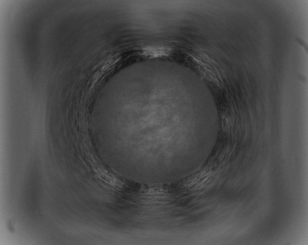 X0000095691393200801081238