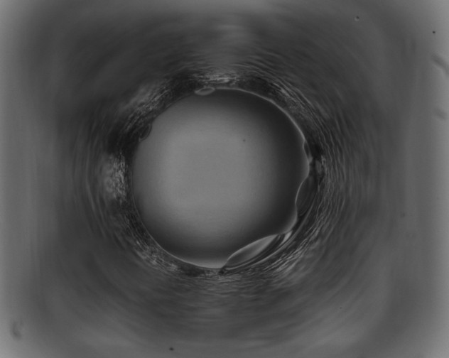 X0000095691394200801081238
