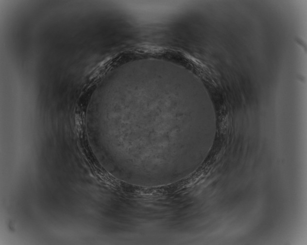 X0000095691397200801081238