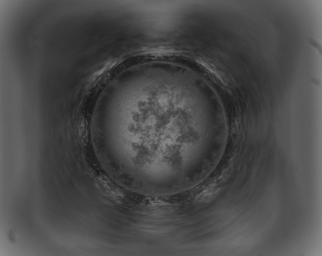 X0000095691398200801081238