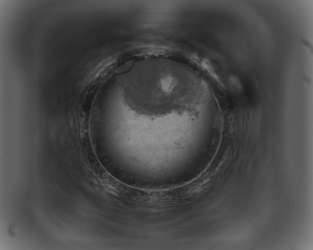 X0000095691399200801081238