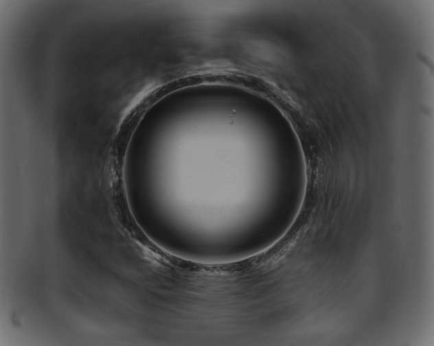 X0000095691400200801081238