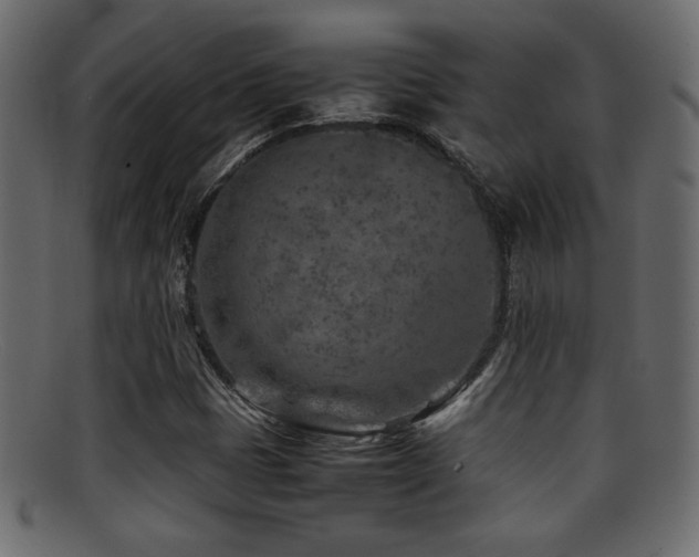 X0000095691401200801081238