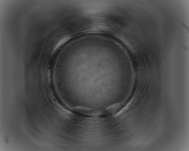 X0000095691402200801081238