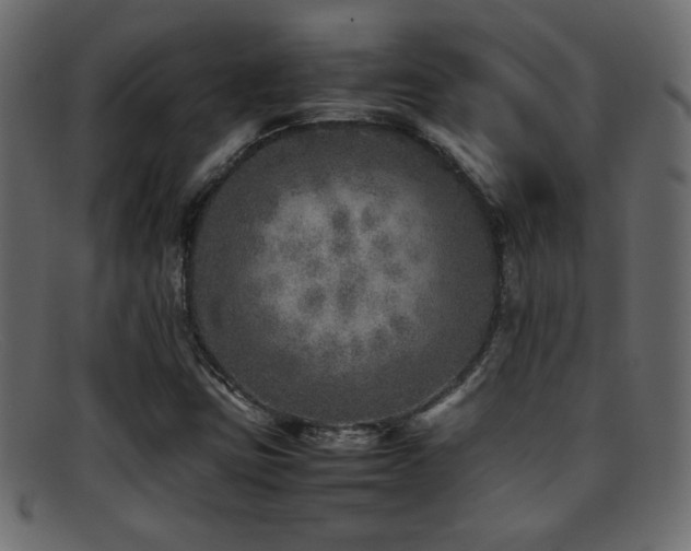X0000095691403200801081238