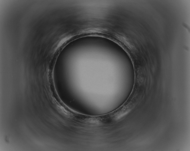 X0000095691404200801081238