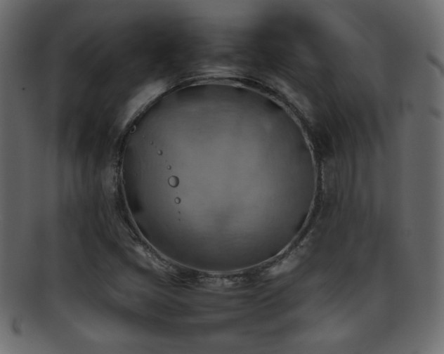 X0000095691405200801081238