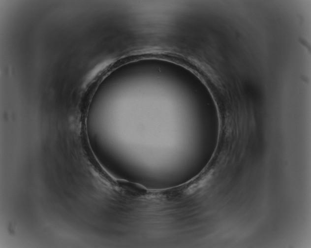 X0000095691406200801081238