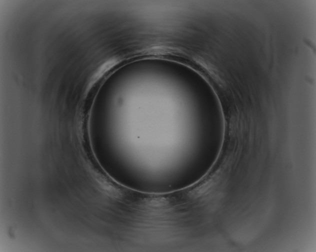 X0000095691410200801081238