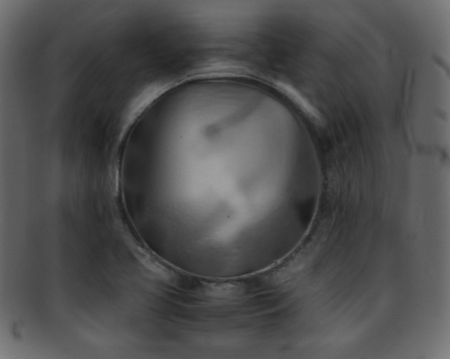 X0000095691413200801081238