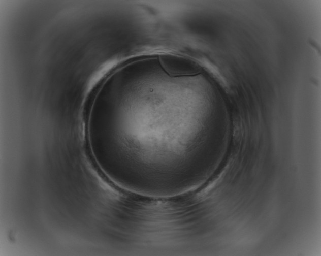 X0000095691414200801081238