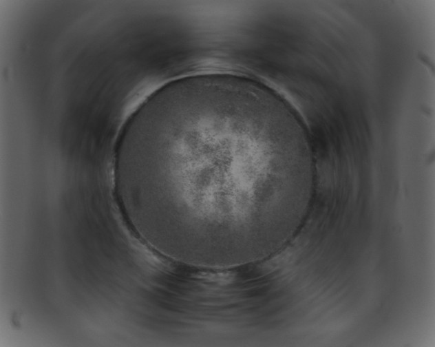 X0000095691415200801081238