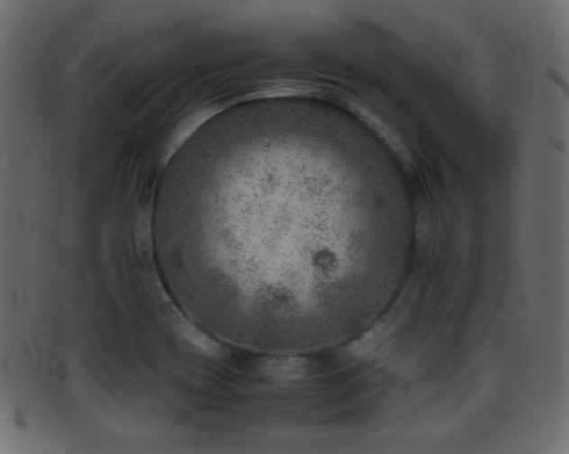 X0000095691417200801081238