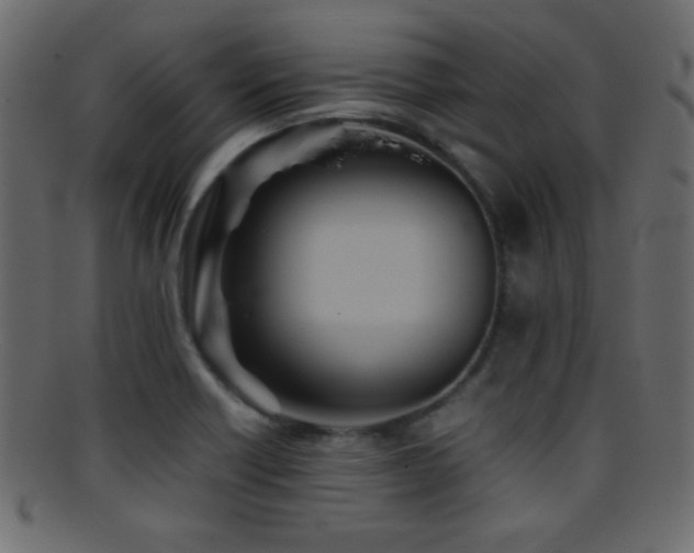 X0000095691418200801081238