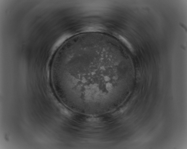X0000095691419200801081238