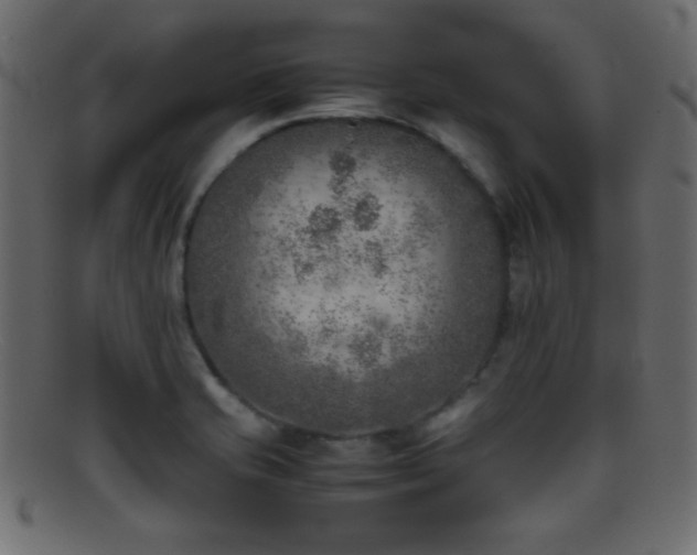 X0000095691421200801081238