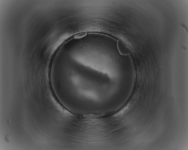 X0000095691422200801081238