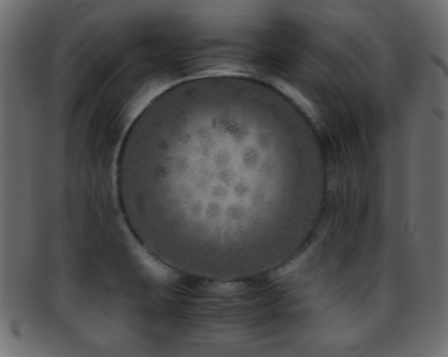X0000095691423200801081238