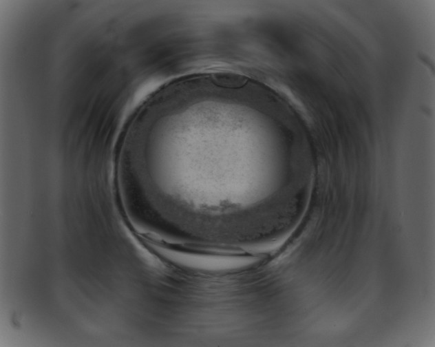 X0000095691424200801081238