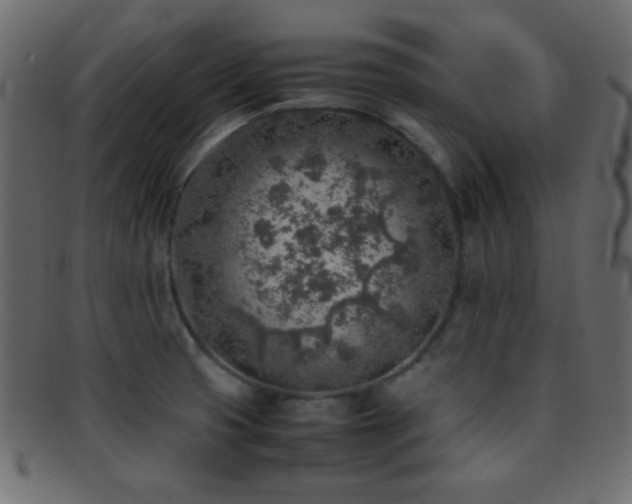 X0000095691425200801081238