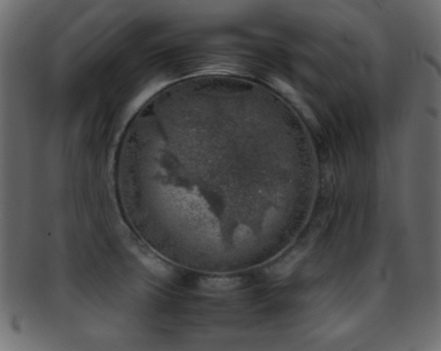 X0000095691427200801081238