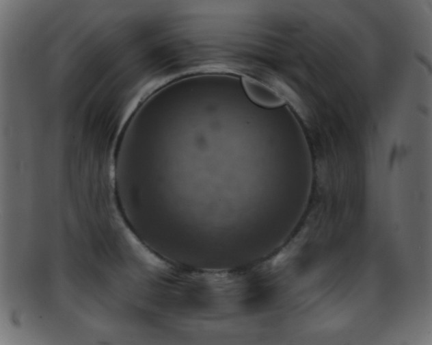 X0000095691428200801081238