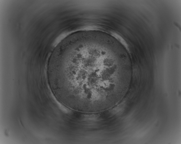 X0000095691429200801081238