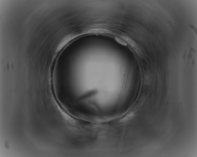 X0000095691430200801081238