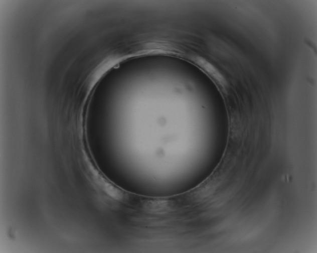 X0000095691431200801081238