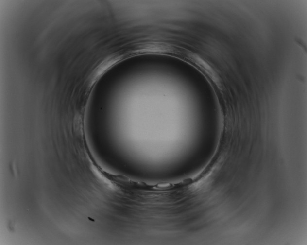 X0000095691433200801081238