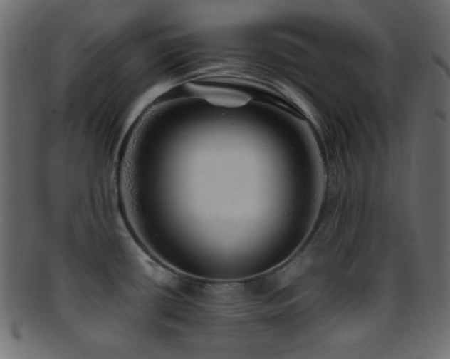 X0000095691434200801081238