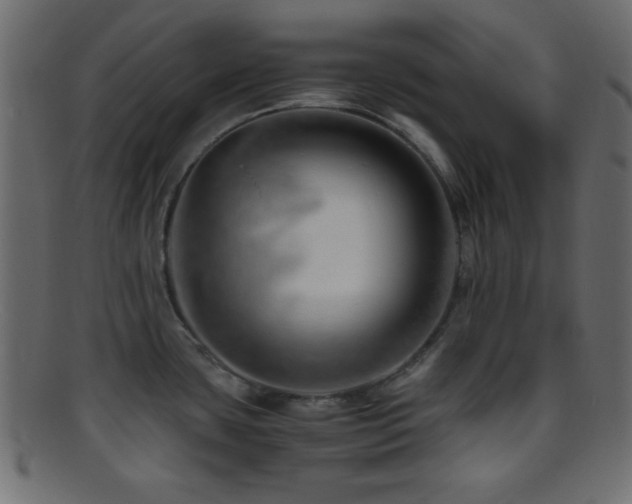 X0000095691435200801081238