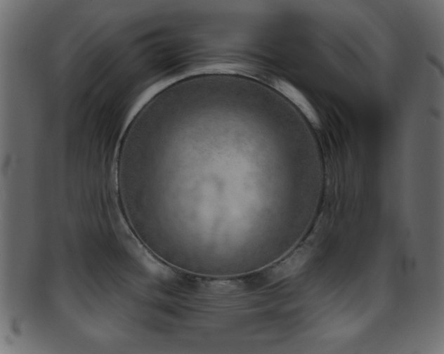 X0000095691436200801081238