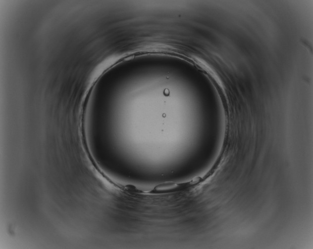 X0000095691437200801081238