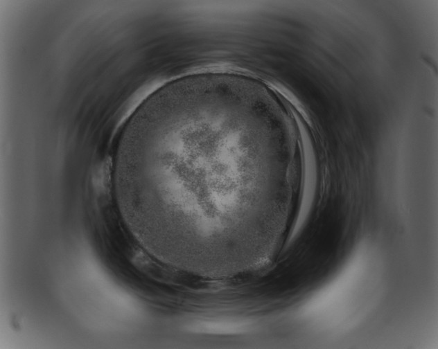 X0000095691438200801081238