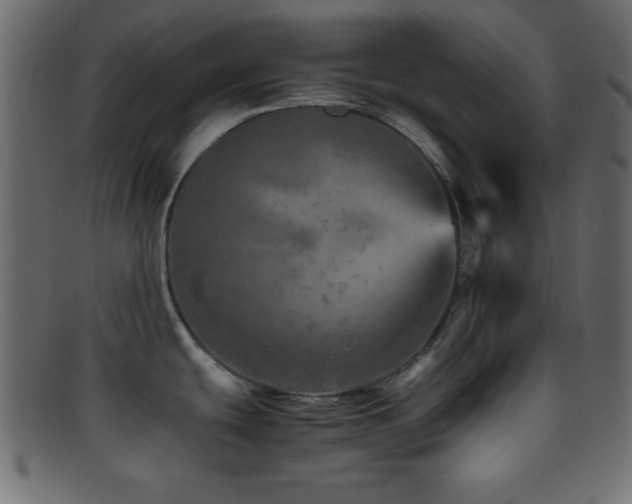 X0000095691439200801081238