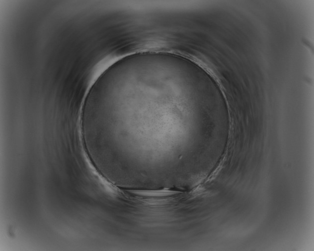 X0000095691440200801081238