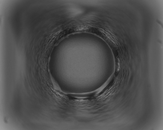 X0000095691441200801081238