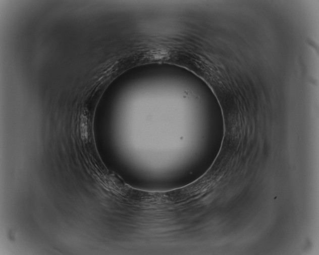X0000095691442200801081238