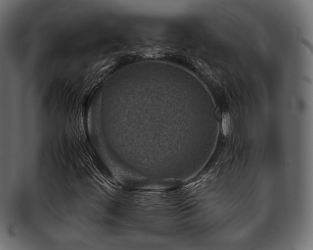 X0000095691444200801081238