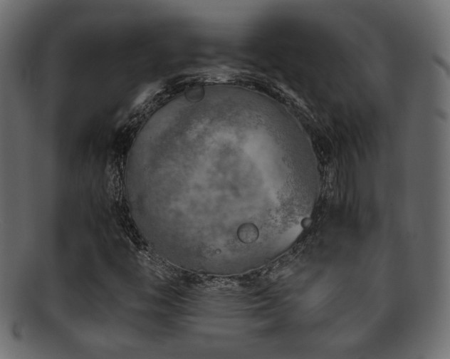 X0000095691446200801081238