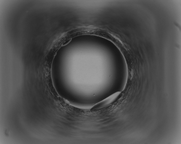 X0000095691447200801081238